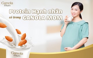 Protein hạnh nhân quan trọng thế nào đối với mẹ bầu?